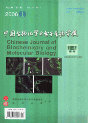 <table><tr><td><font color=blue>中国生物化学与分子生物学报</font></td></tr></table>