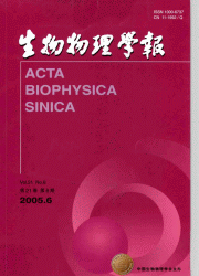 <table><tr><td><font color=blue>ѧ(Ӣİ)</font></td></tr></table>